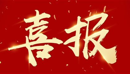 喜訊┃集團(tuán)黨委書(shū)記、董事長(zhǎng)向誠(chéng)榮獲市委表彰